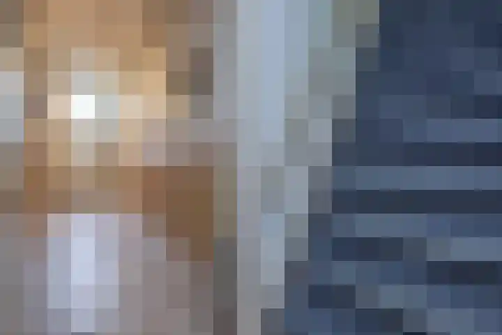 Bramerslandstraat 28 Den Dungen thumbnail 7