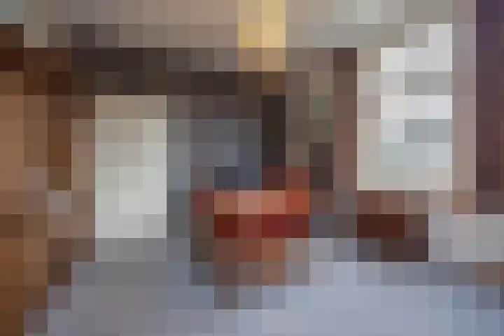 Bramerslandstraat 28 Den Dungen thumbnail 8