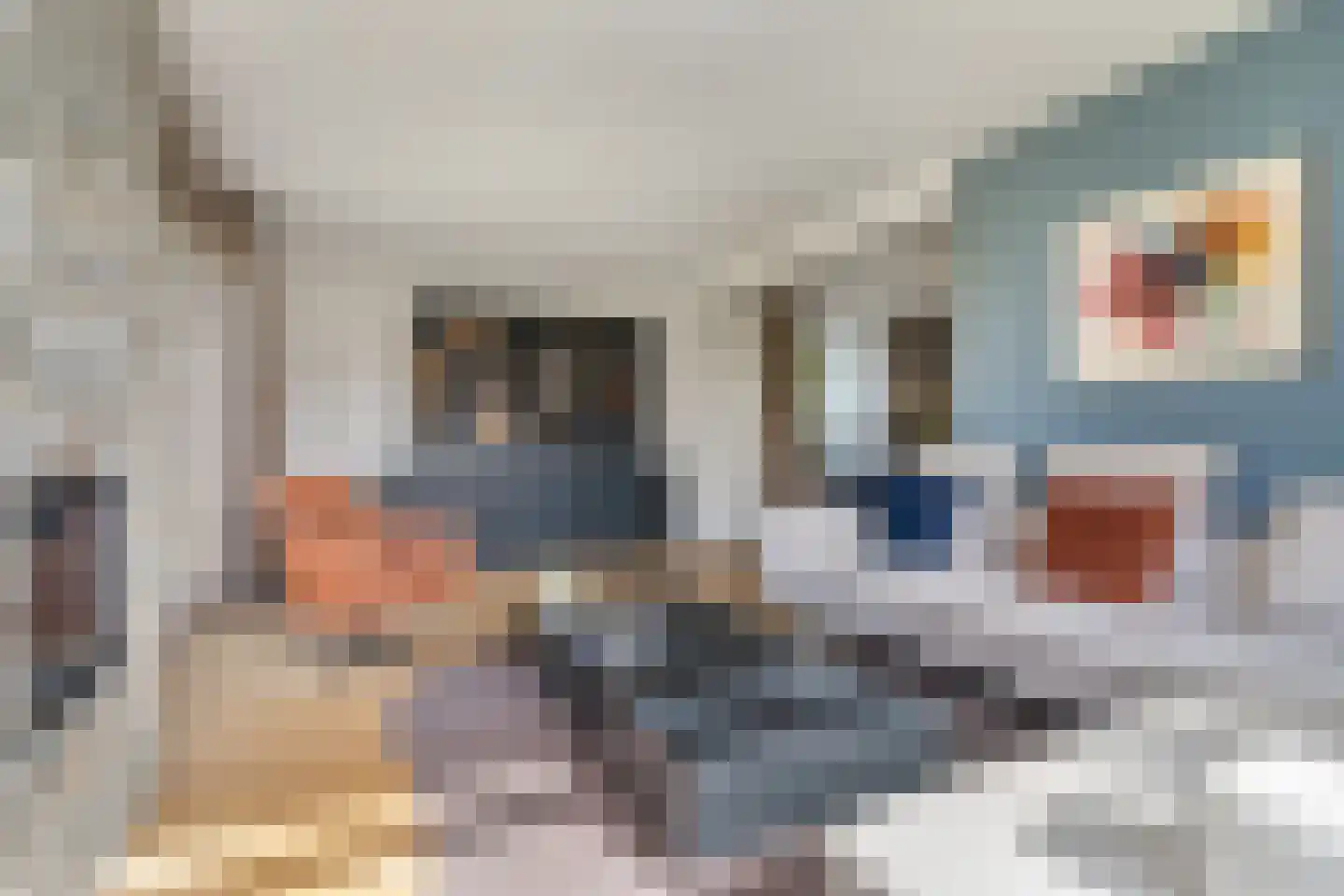 Bramerslandstraat 4 Den Dungen thumbnail 12