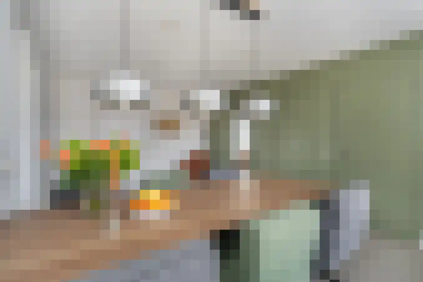Bramerslandstraat 4 Den Dungen thumbnail 16