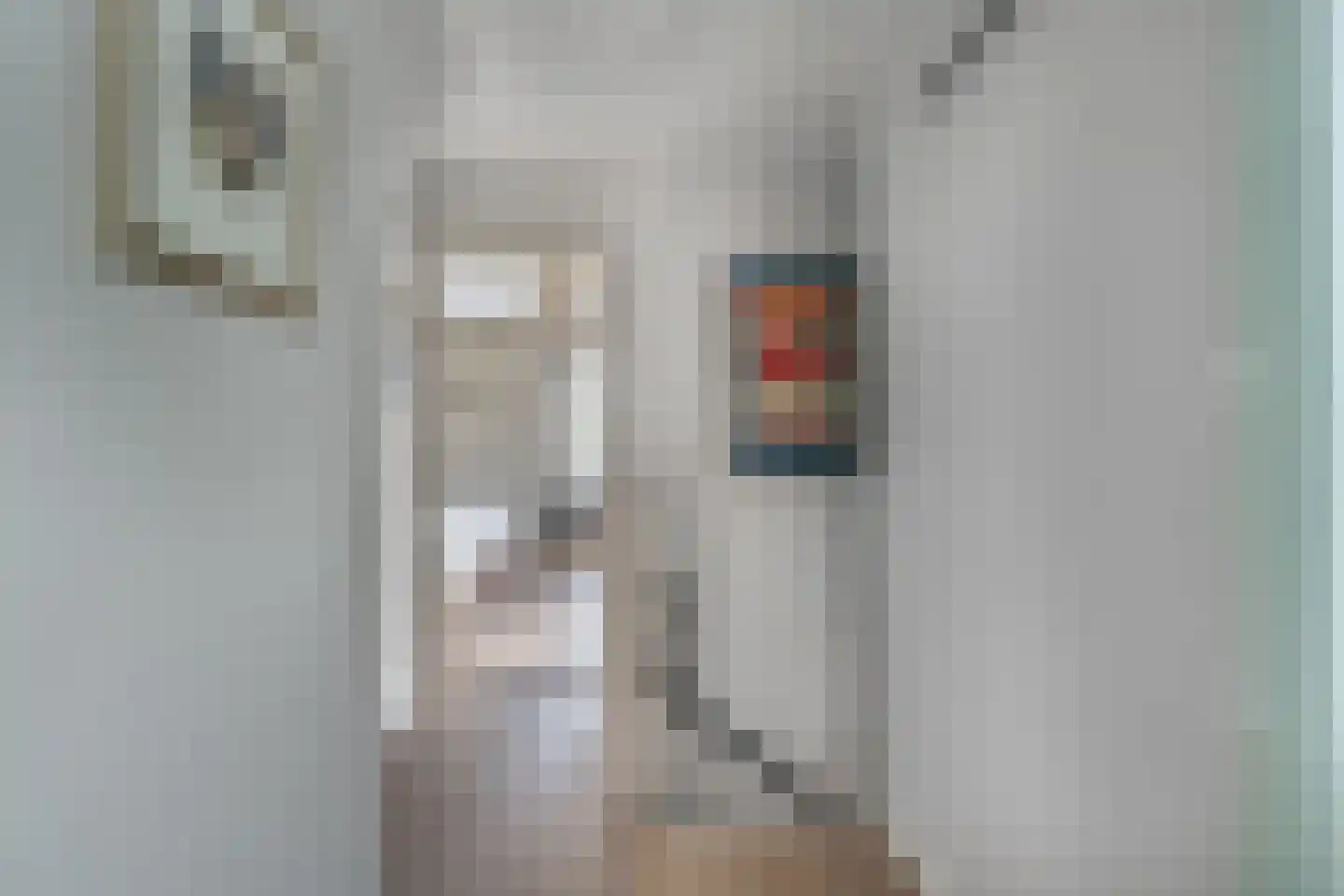 Bramerslandstraat 4 Den Dungen thumbnail 21