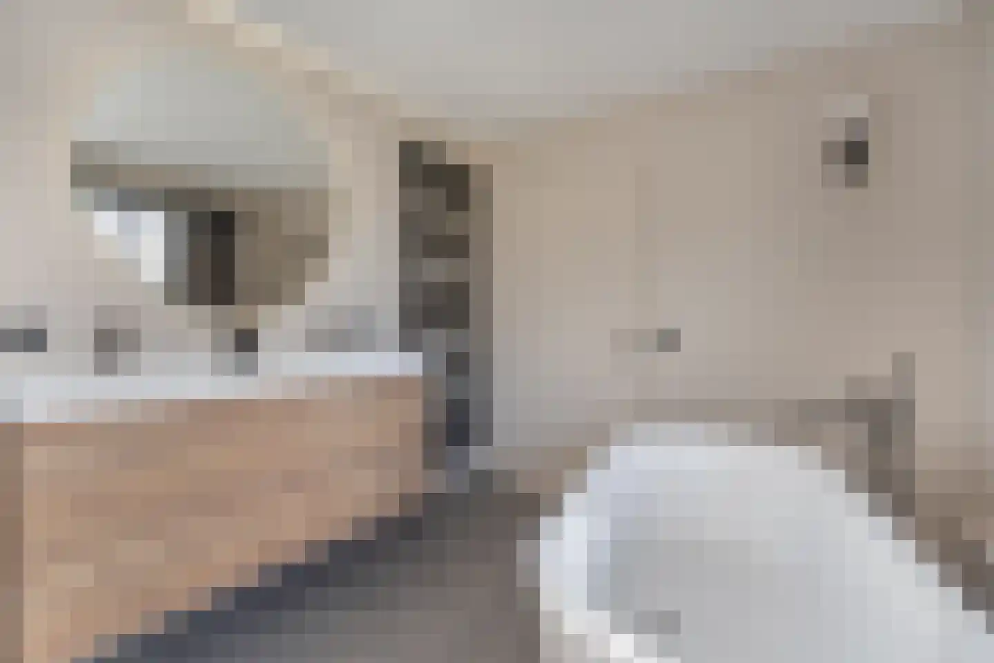 Bramerslandstraat 4 Den Dungen thumbnail 30