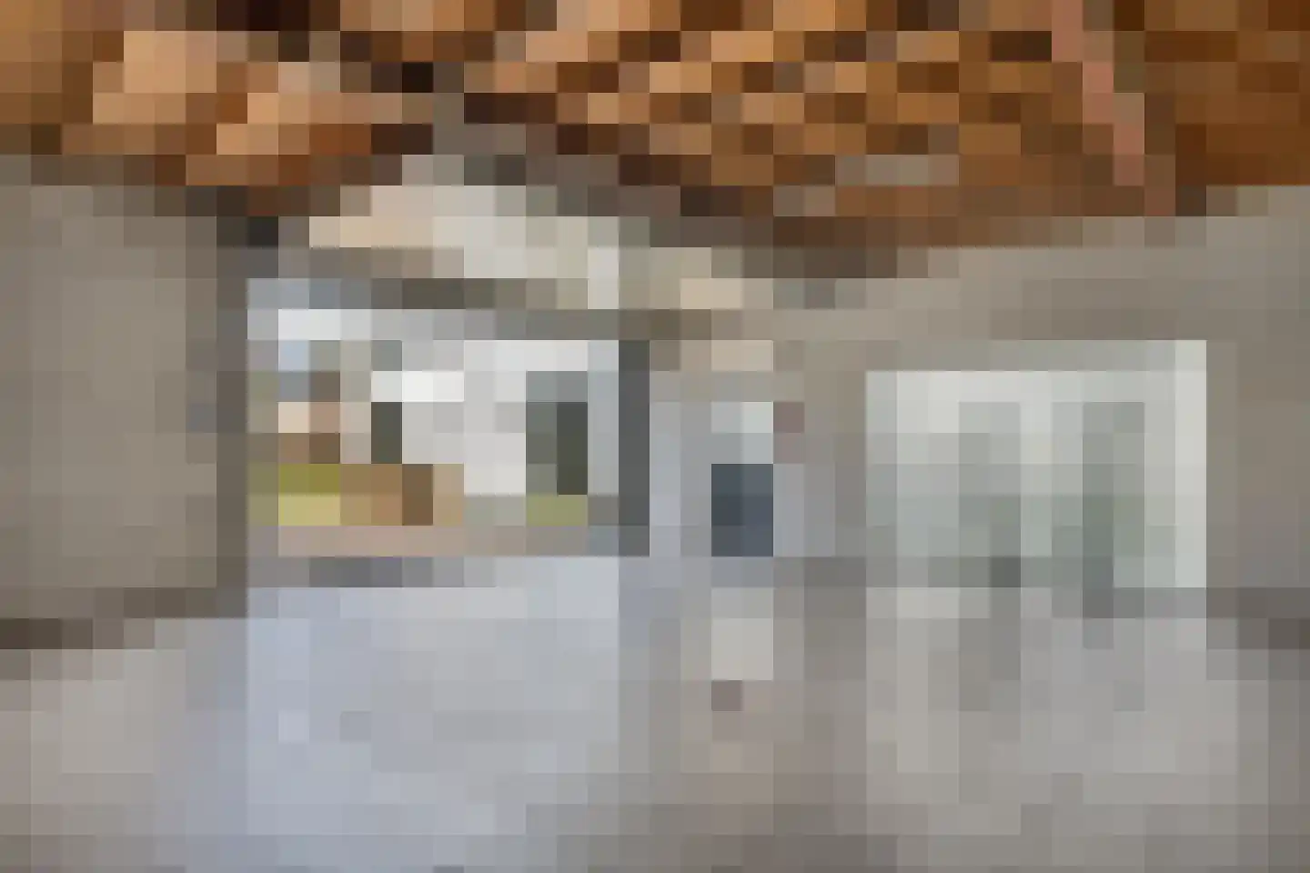 Bramerslandstraat 4 Den Dungen thumbnail 32