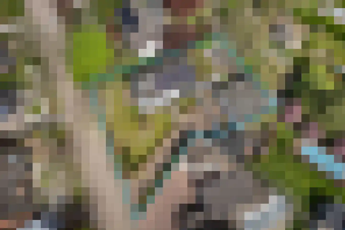 Bramerslandstraat 4 Den Dungen thumbnail 38