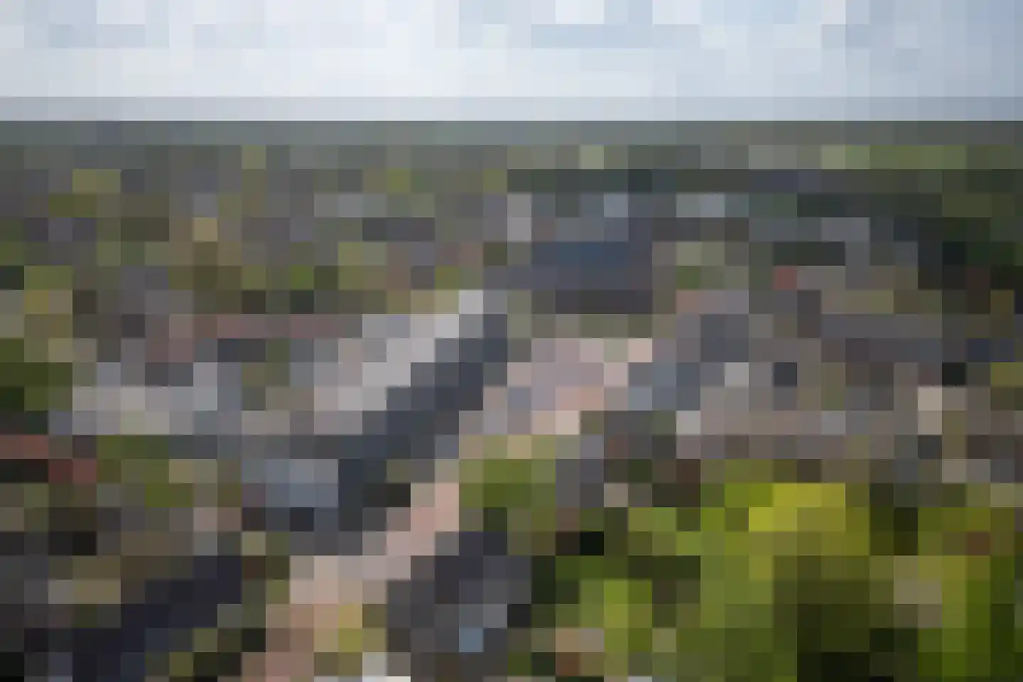 Bramerslandstraat 4 Den Dungen thumbnail 41