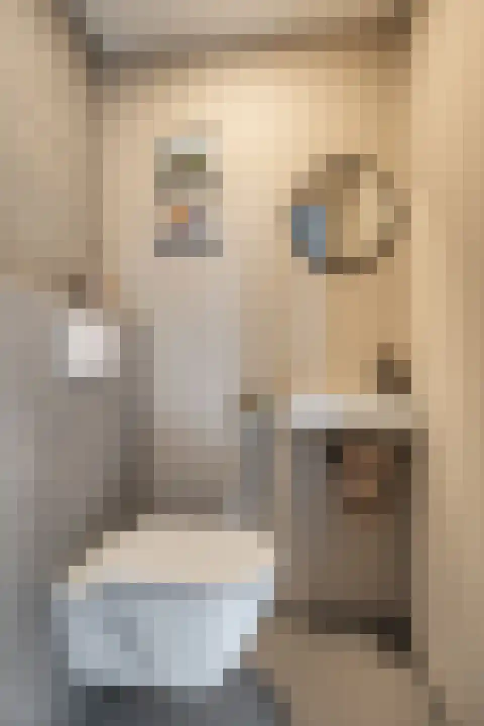Bramerslandstraat 4 Den Dungen thumbnail 9