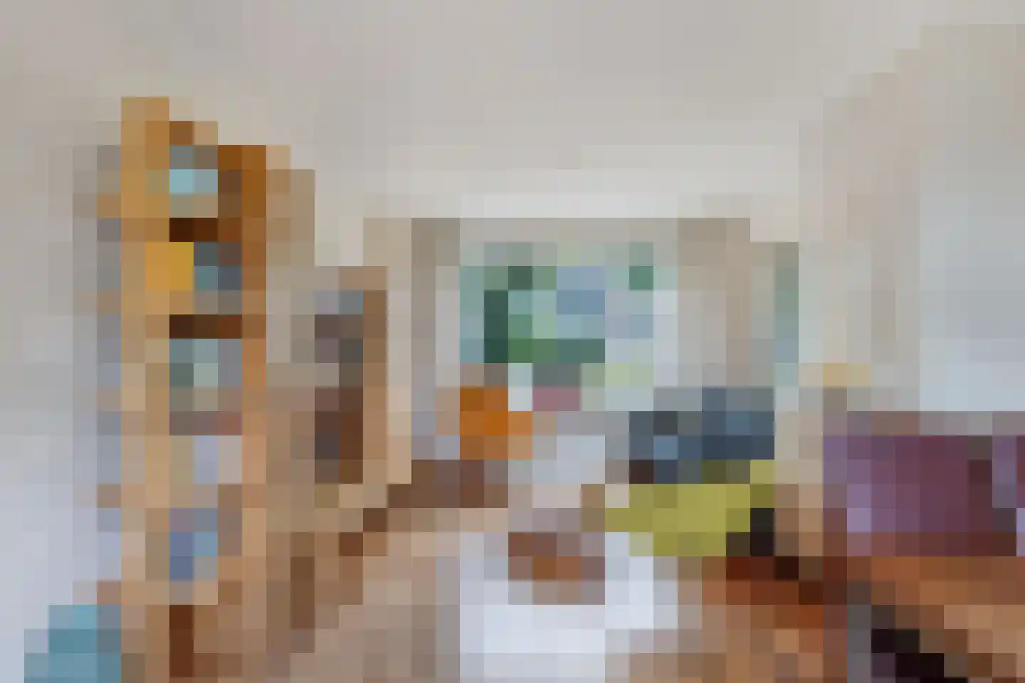 Bramerstraat 1 Idskenhuizen thumbnail 10