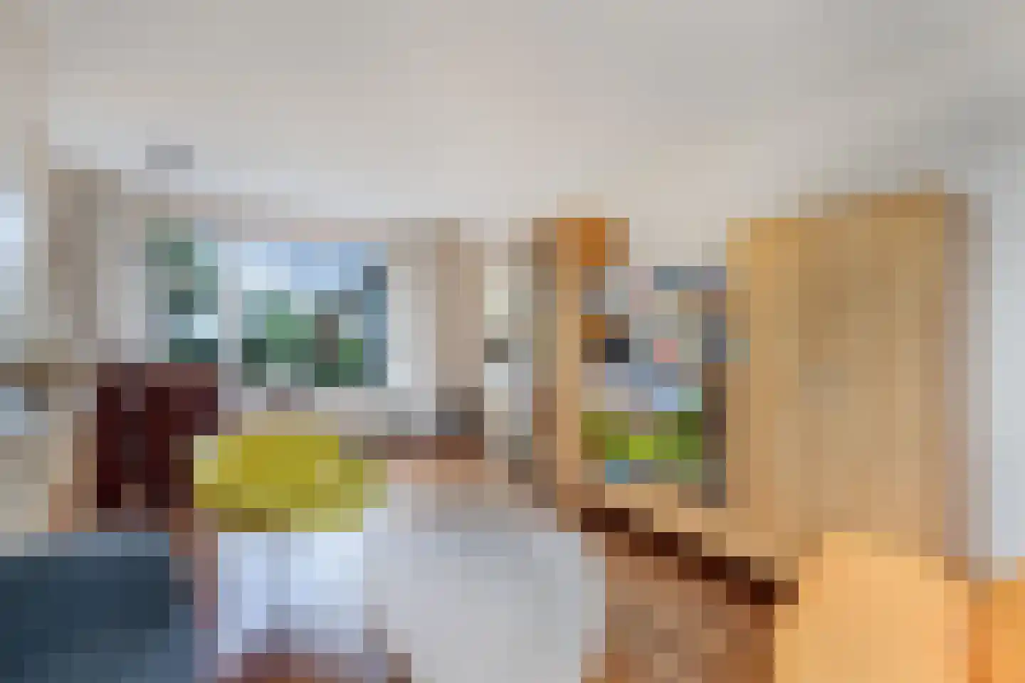 Bramerstraat 1 Idskenhuizen thumbnail 15
