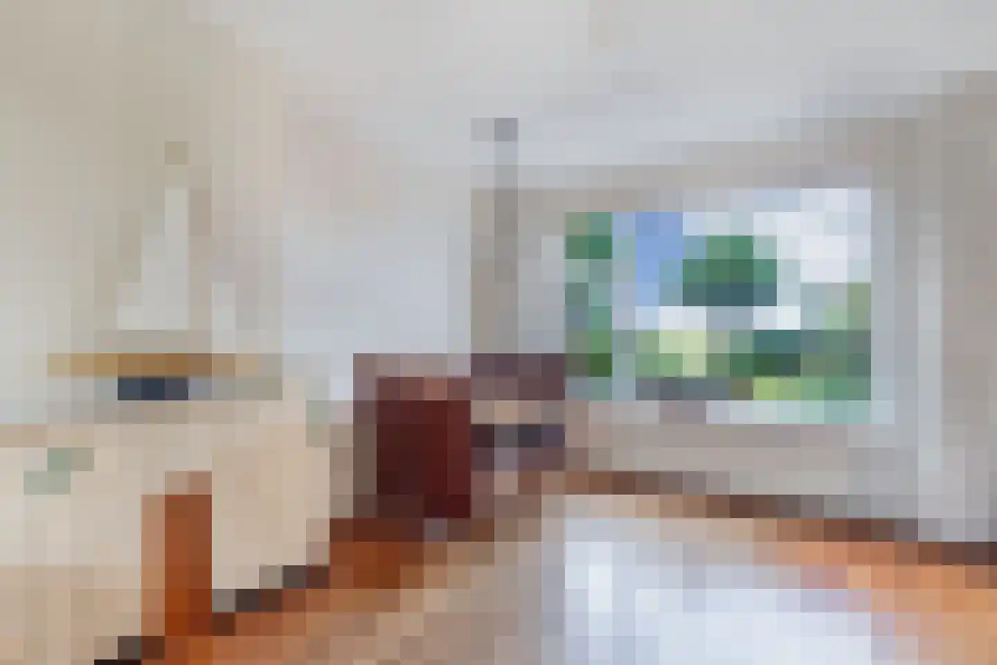 Bramerstraat 1 Idskenhuizen thumbnail 16