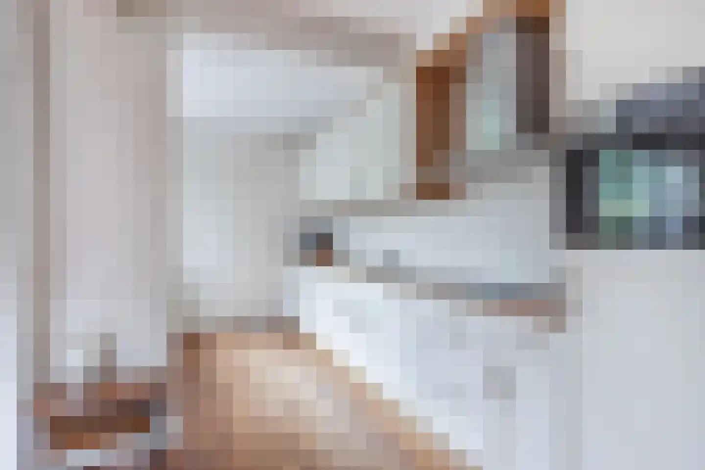 Bramerstraat 1 Idskenhuizen thumbnail 18