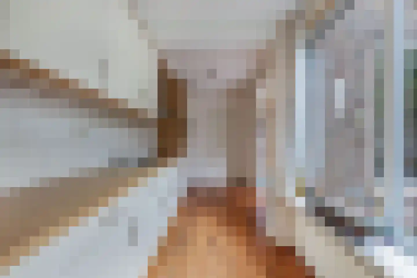 Bramerstraat 1 Idskenhuizen thumbnail 19