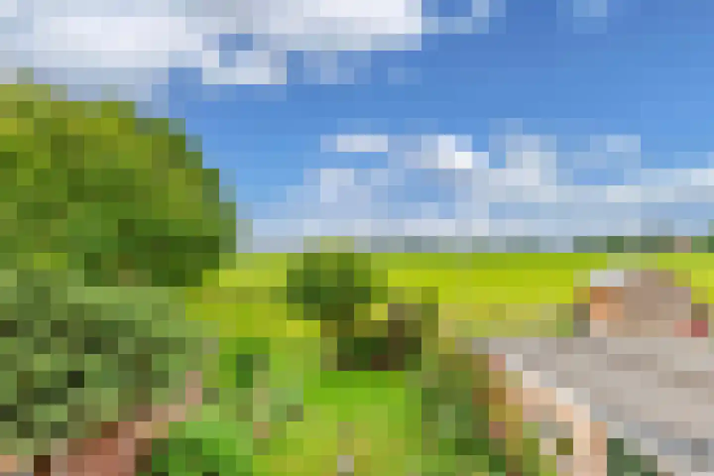 Bramerstraat 1 Idskenhuizen thumbnail 23