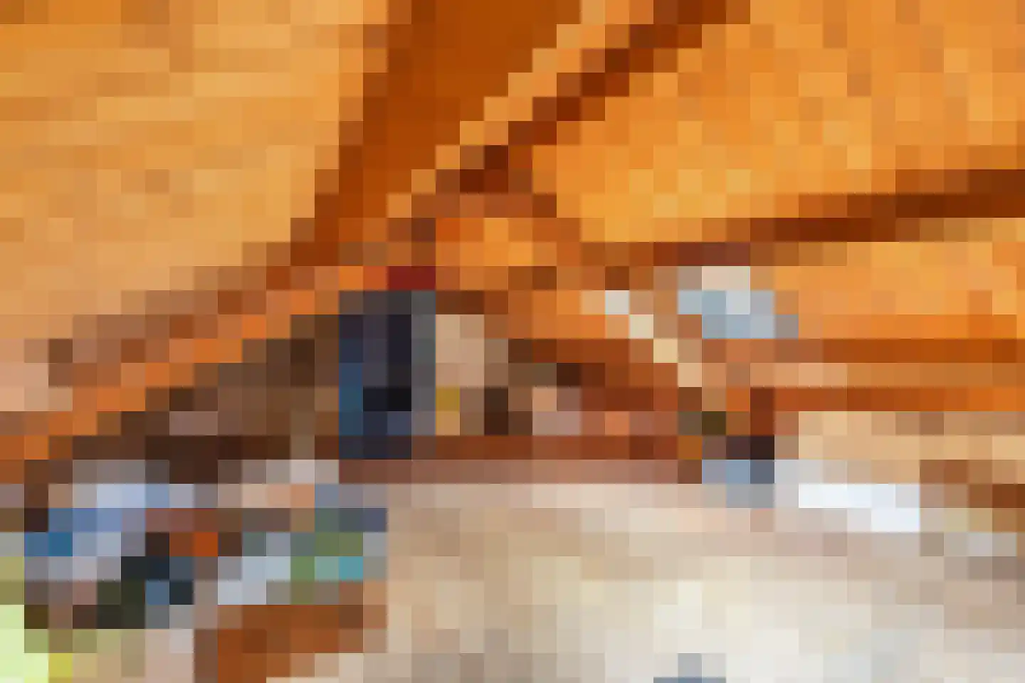 Bramerstraat 1 Idskenhuizen thumbnail 28