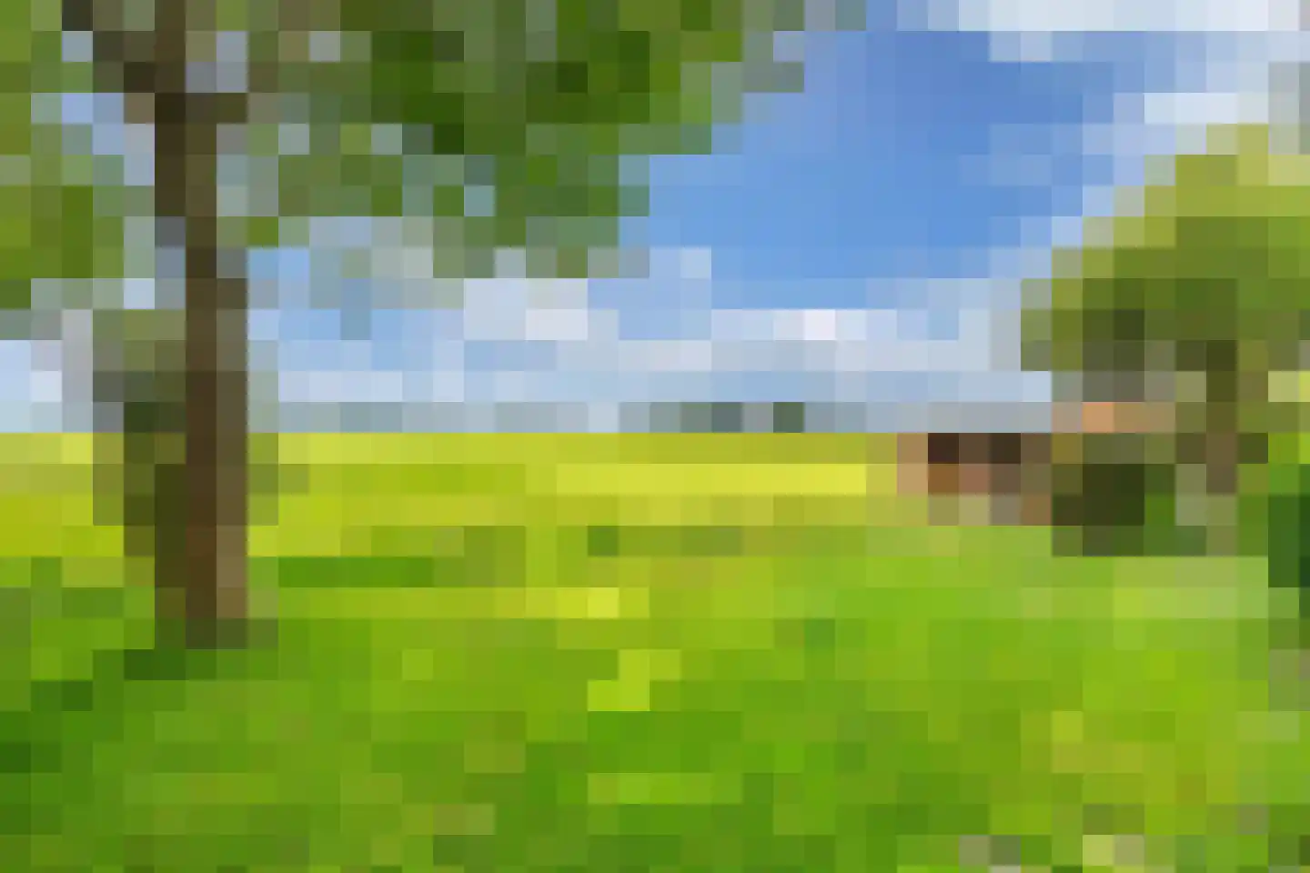 Bramerstraat 1 Idskenhuizen thumbnail 32