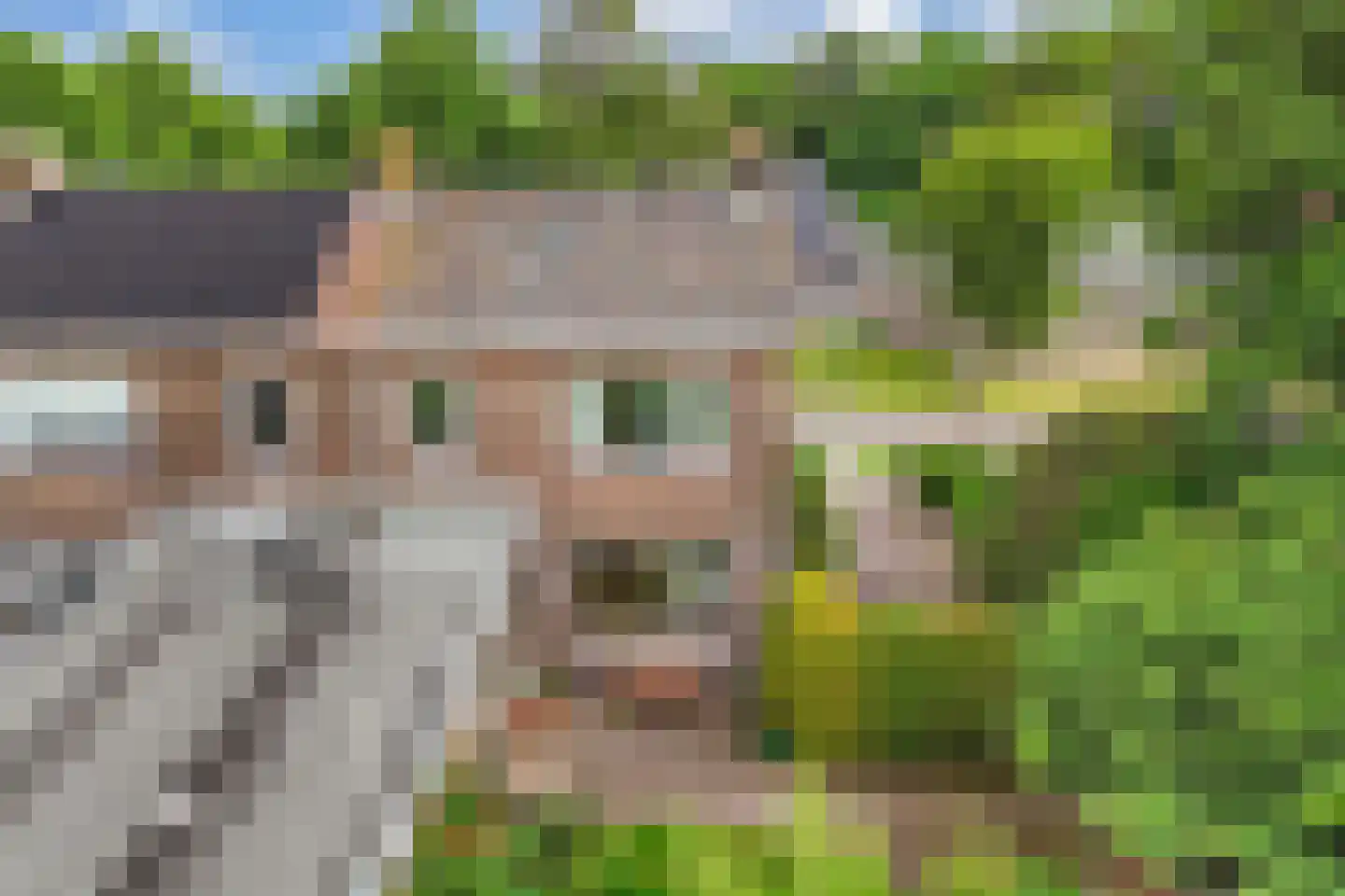 Bramerstraat 1 Idskenhuizen thumbnail 38