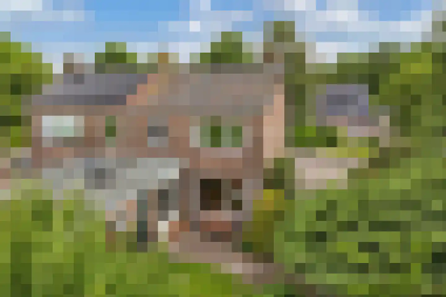 Bramerstraat 1 Idskenhuizen thumbnail 39