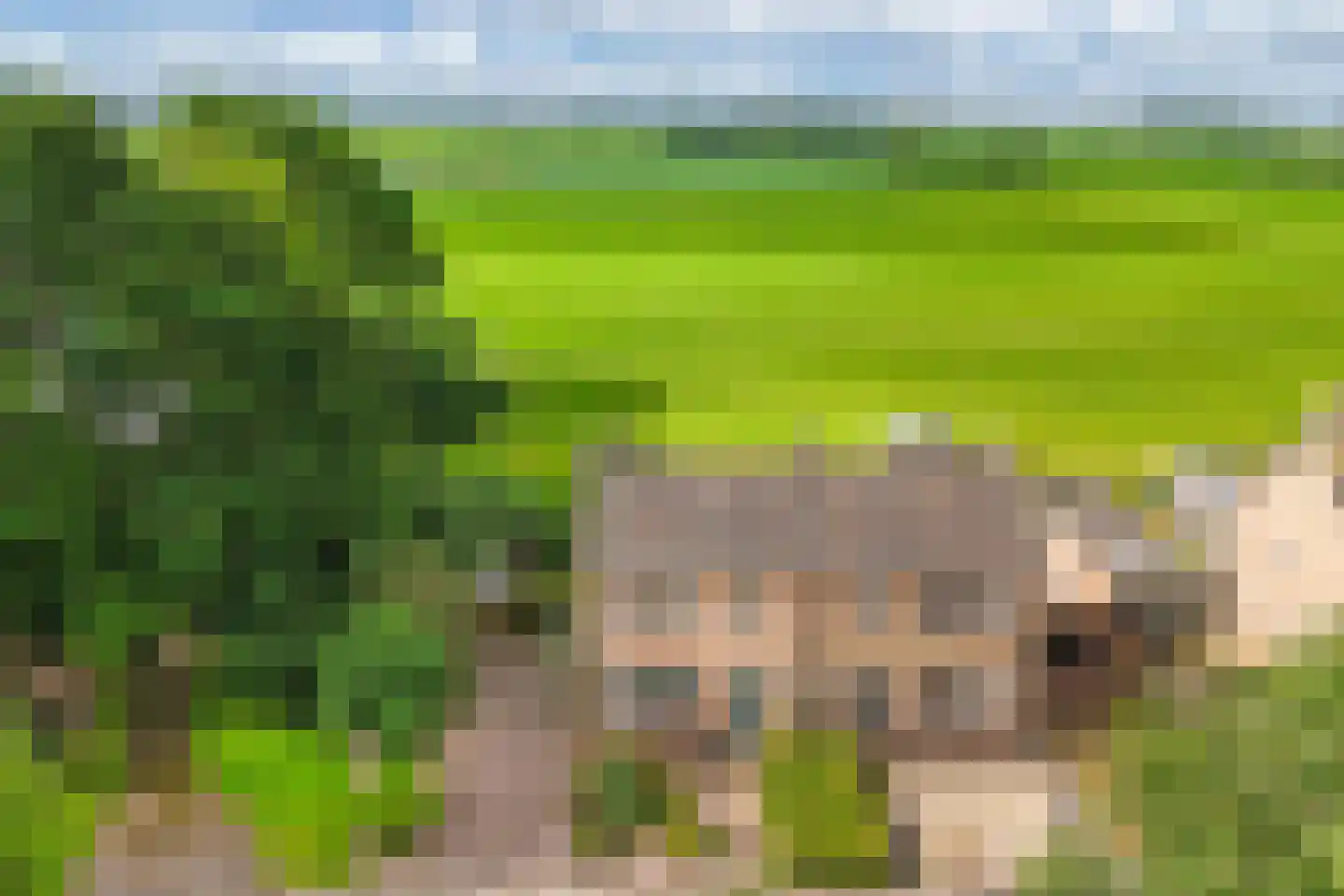 Bramerstraat 1 Idskenhuizen thumbnail 42