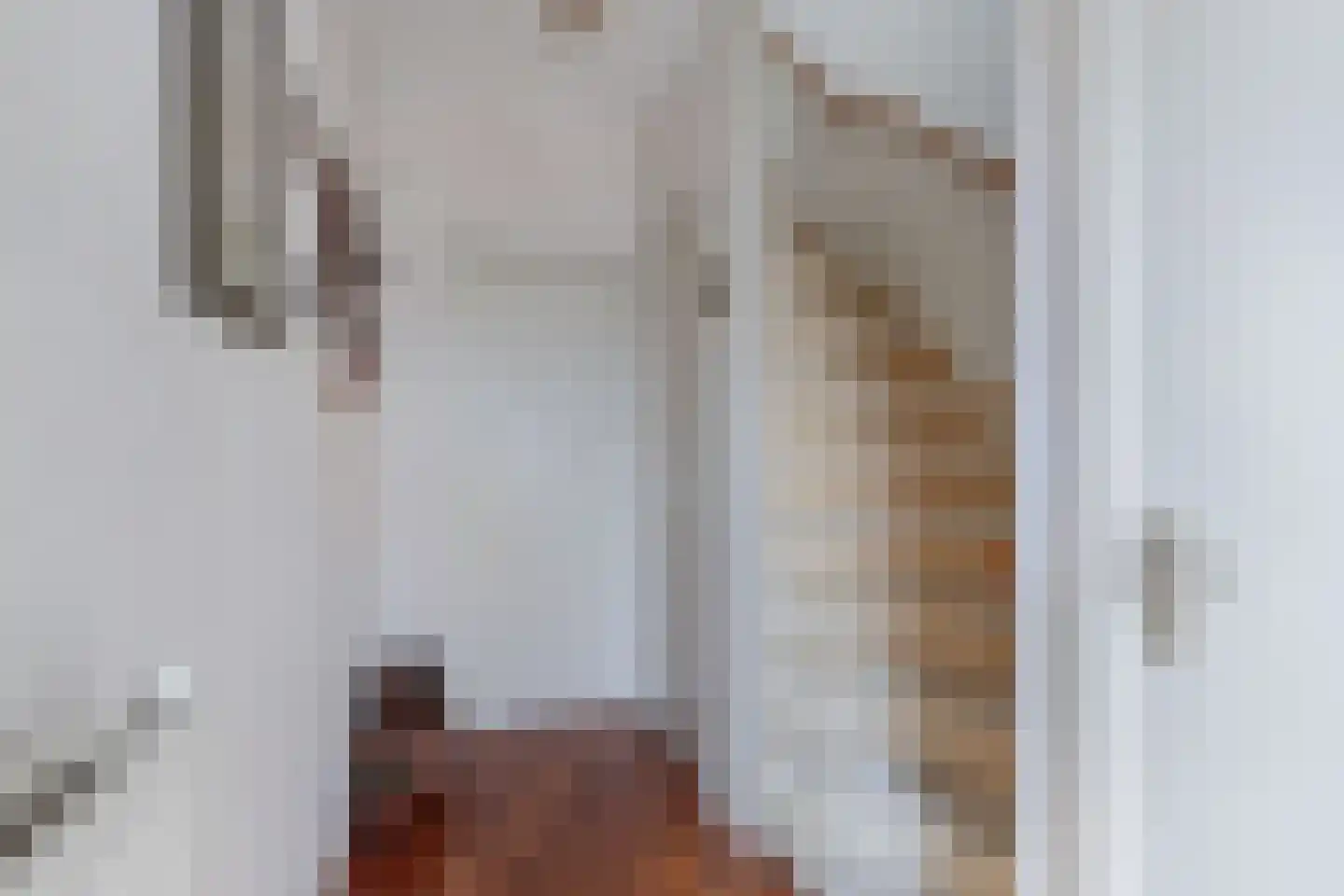 Bramerstraat 1 Idskenhuizen thumbnail 7