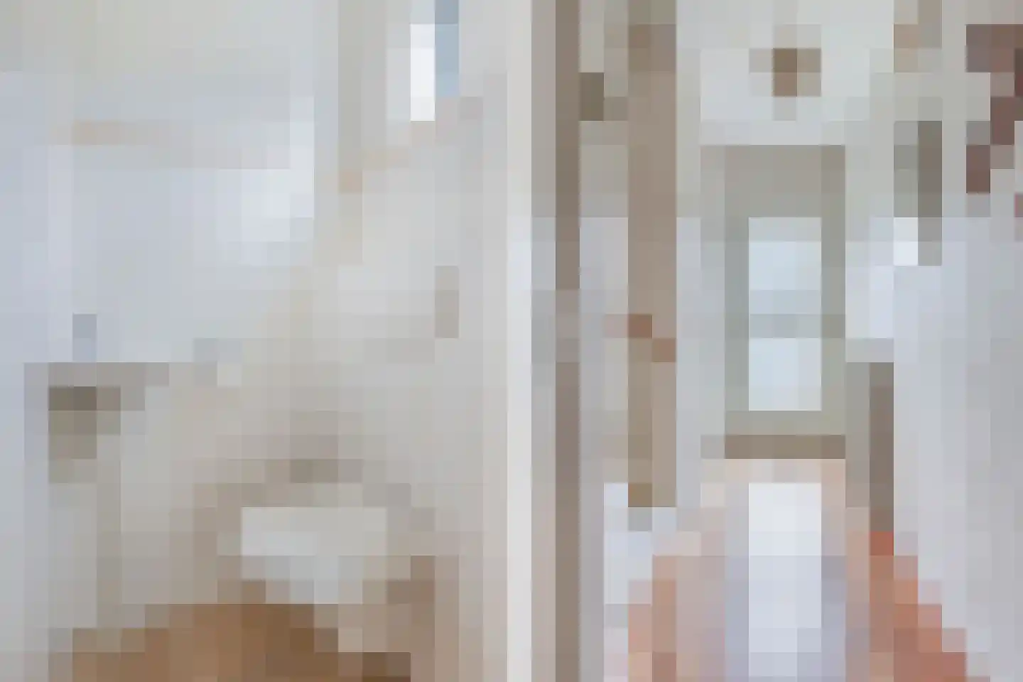 Bramerstraat 1 Idskenhuizen thumbnail 8