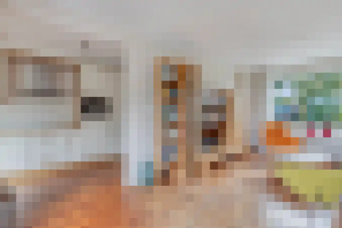 Bramerstraat 1 Idskenhuizen thumbnail 9