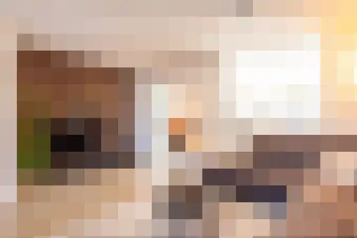 Bramertweg 20 Urmond thumbnail 10