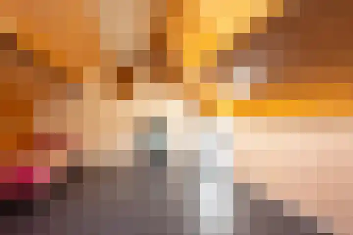 Bramertweg 20 Urmond thumbnail 27