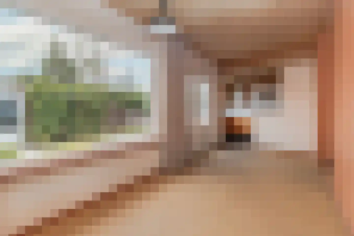 Bramertweg 24 Urmond thumbnail 14