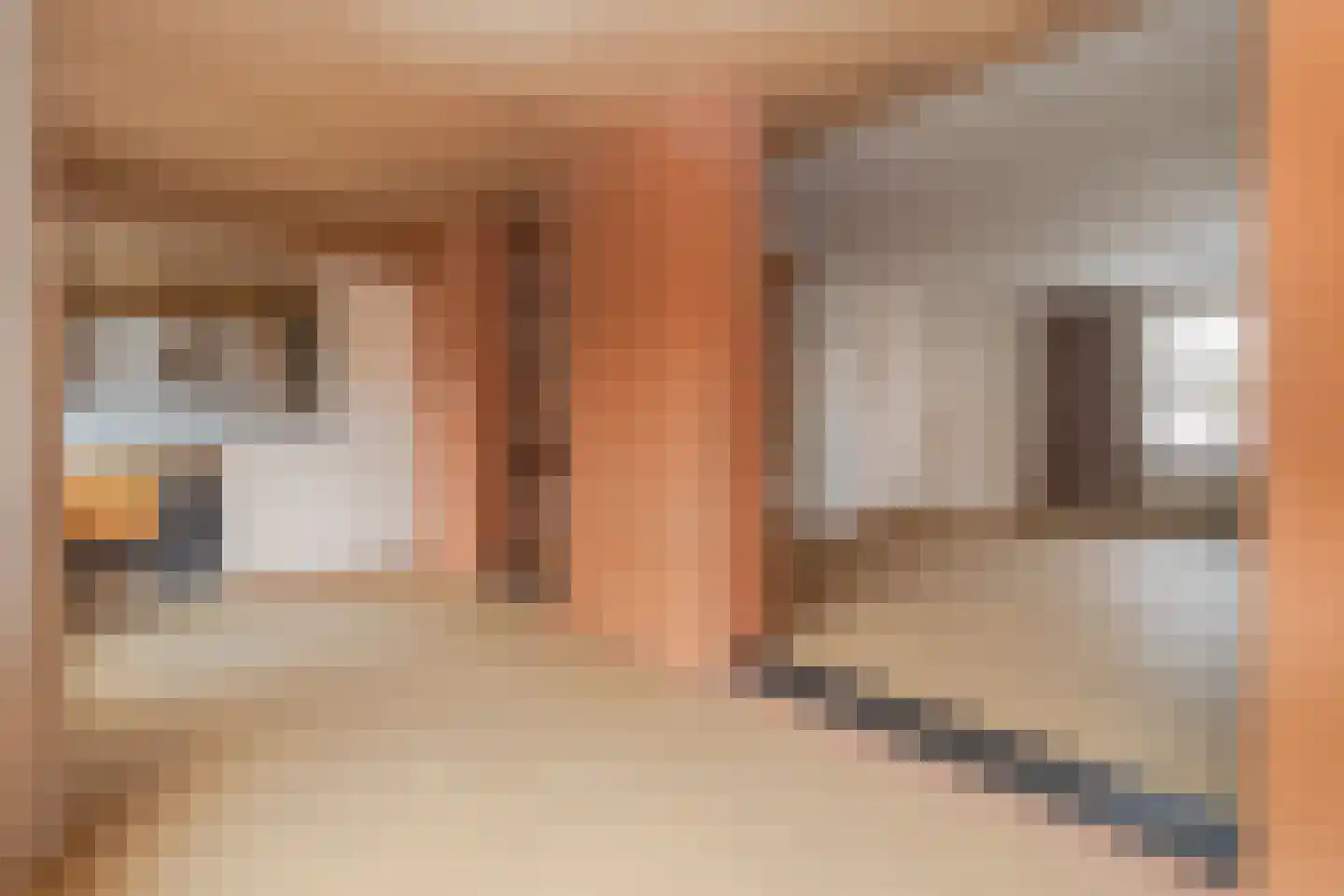 Bramertweg 24 Urmond thumbnail 15
