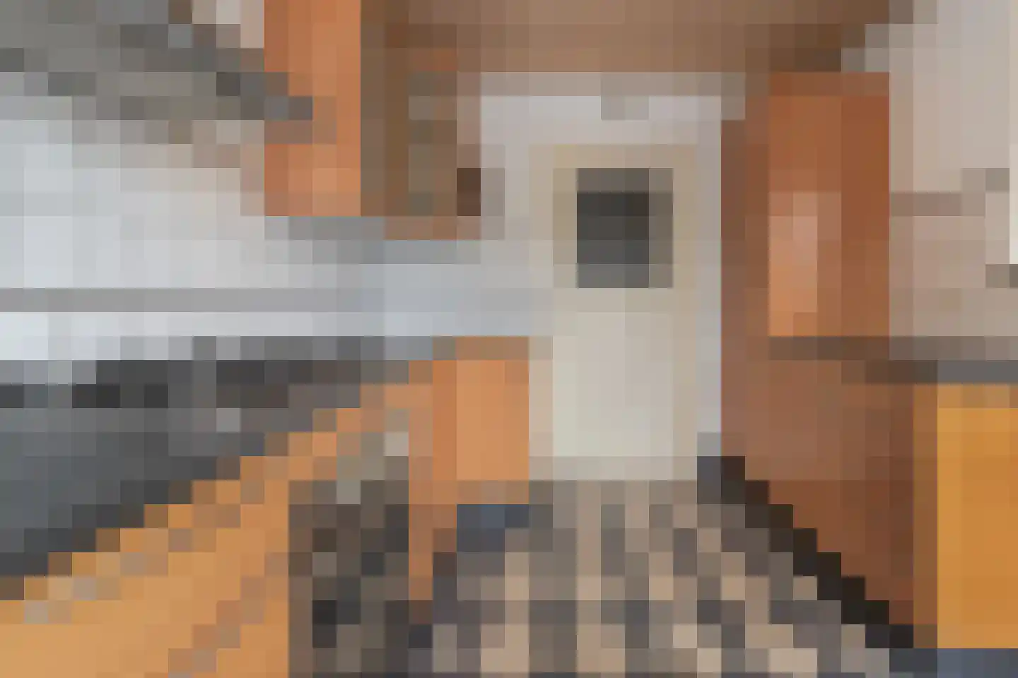 Bramertweg 24 Urmond thumbnail 17
