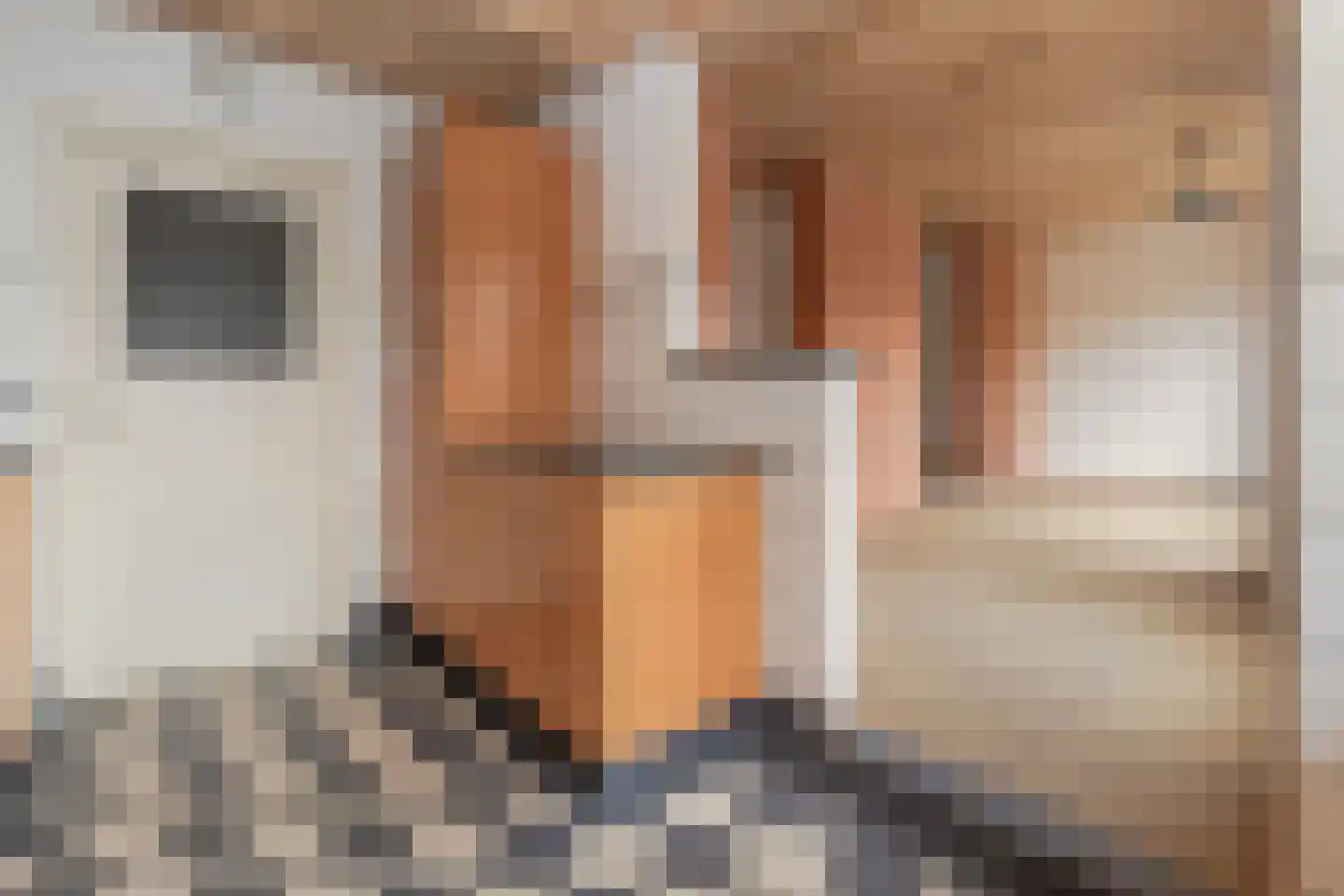 Bramertweg 24 Urmond thumbnail 19