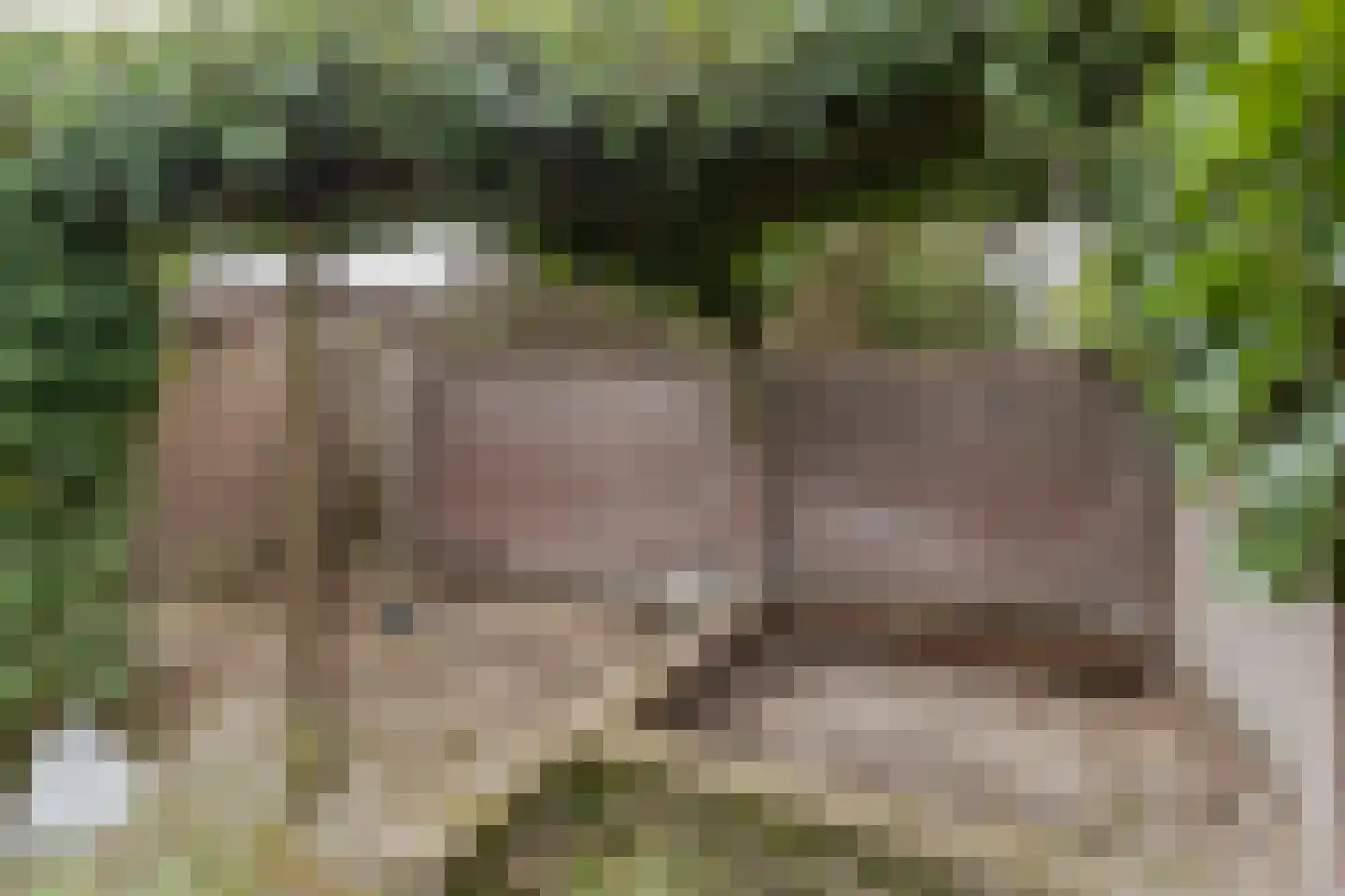 Bramertweg 24 Urmond thumbnail 38
