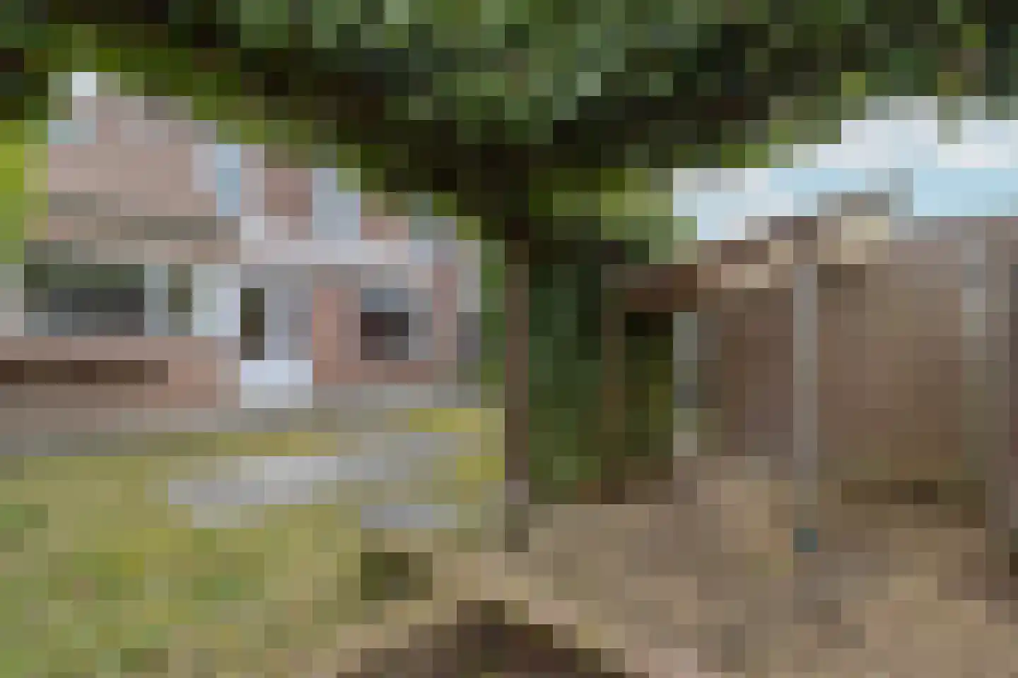 Bramertweg 24 Urmond thumbnail 39