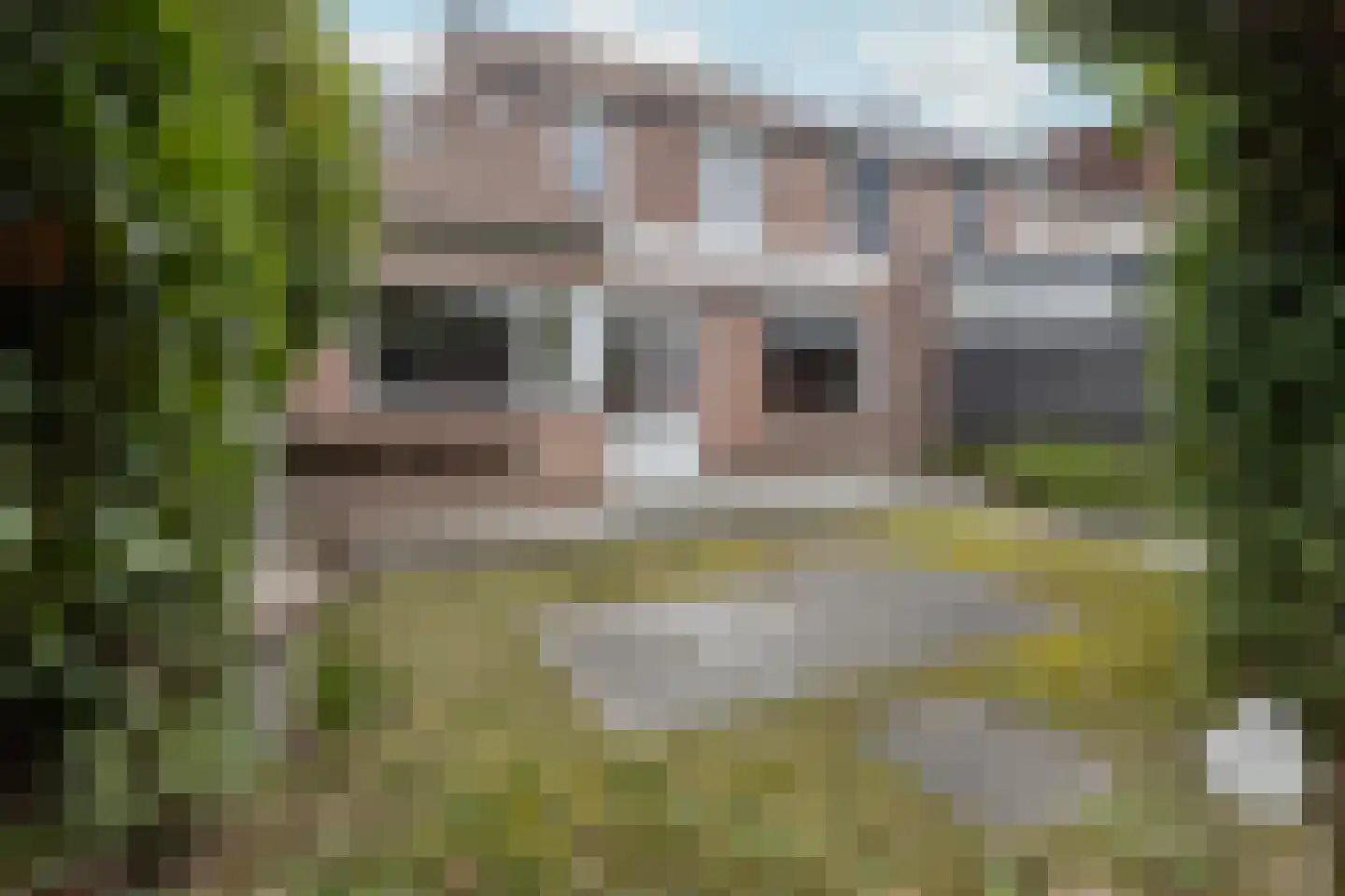 Bramertweg 24 Urmond thumbnail 6