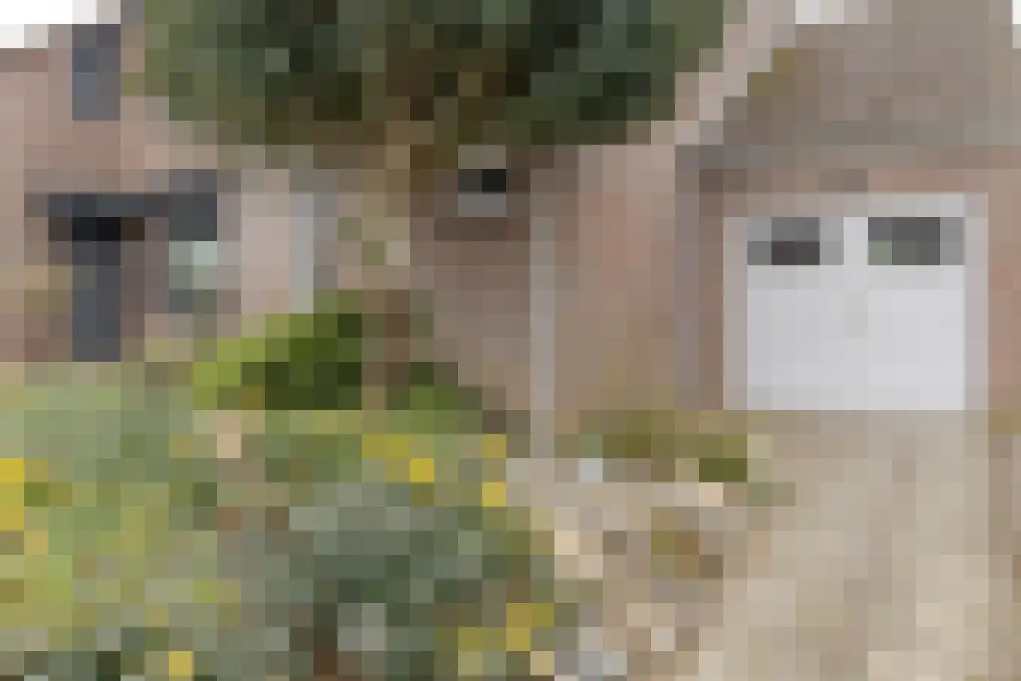 Bramertweg 24 Urmond thumbnail 8