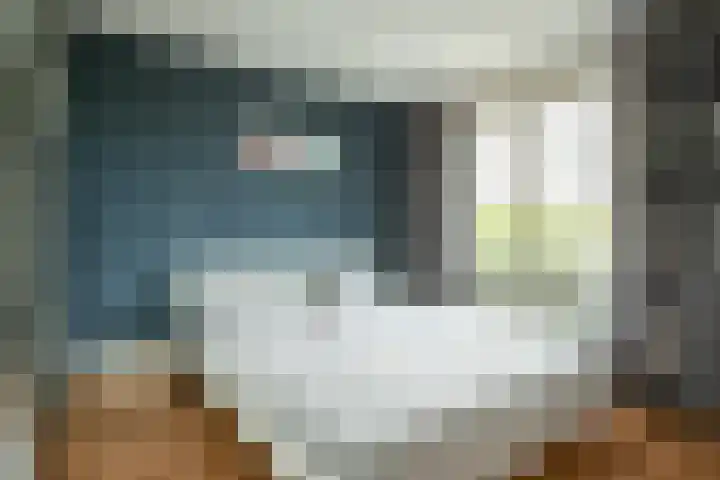 Bramertweg 28 Urmond thumbnail 13