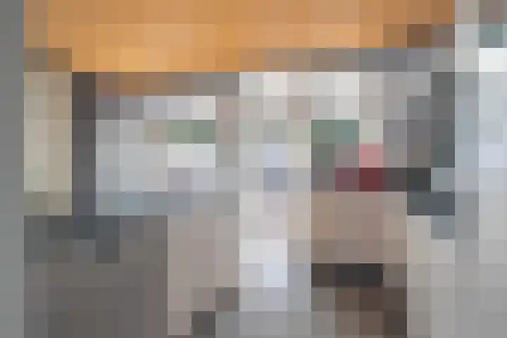 Bramertweg 28 Urmond thumbnail 7