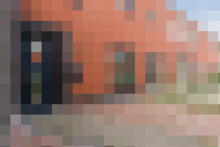 Bramerveld 61 Nieuw-Vennep thumbnail 10