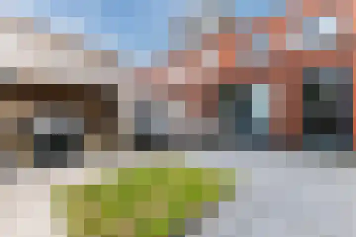 Bramerveld 61 Nieuw-Vennep thumbnail 34