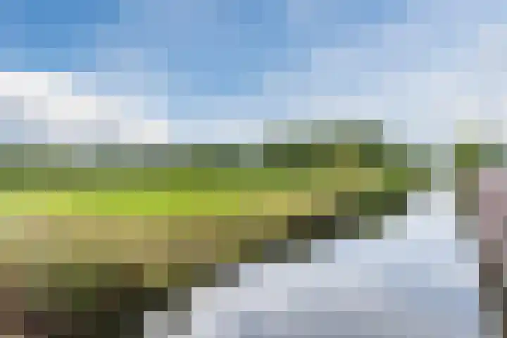 Bramerveld 61 Nieuw-Vennep thumbnail 40