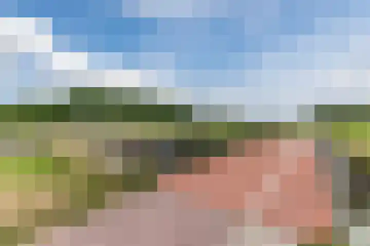 Bramerveld 61 Nieuw-Vennep thumbnail 42