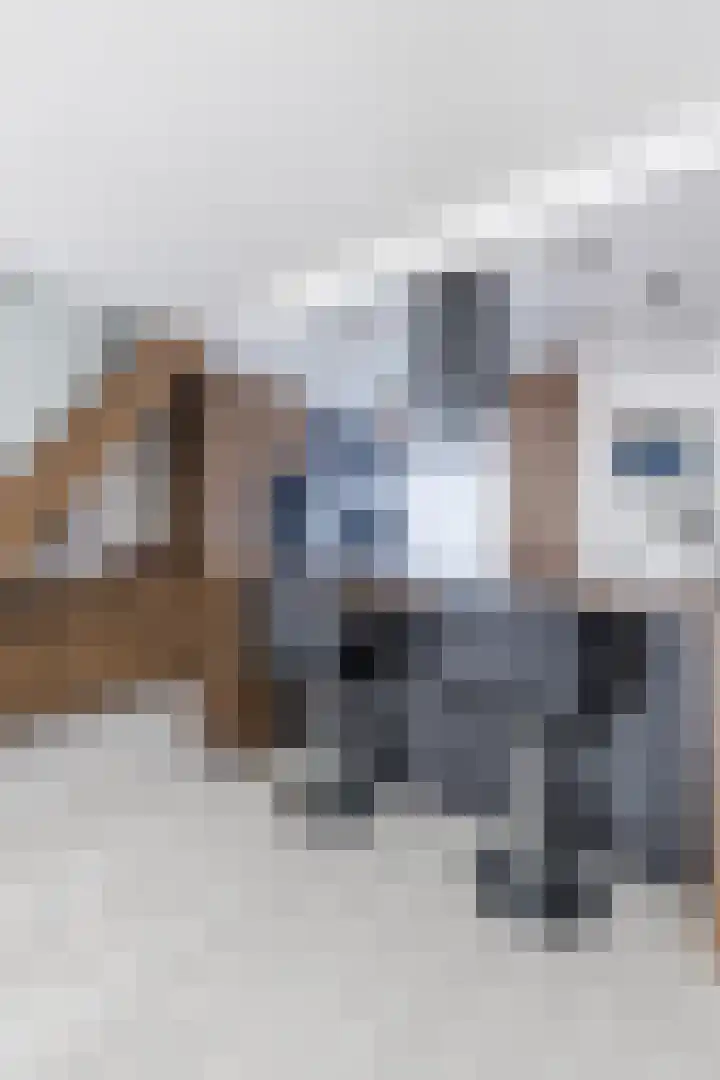 Bramerveld 61 Nieuw-Vennep thumbnail 48