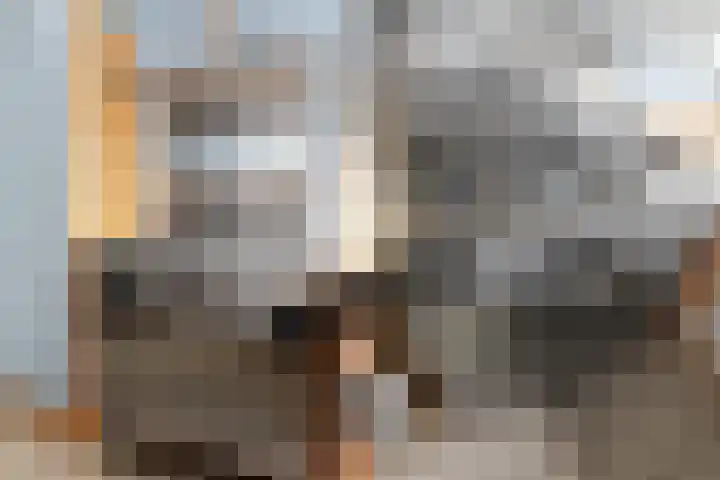 Bramerveld 77 Nieuw-Vennep thumbnail 4