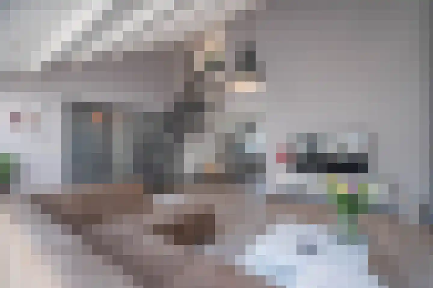 Bramestraat 18 Krabbendijke thumbnail 11