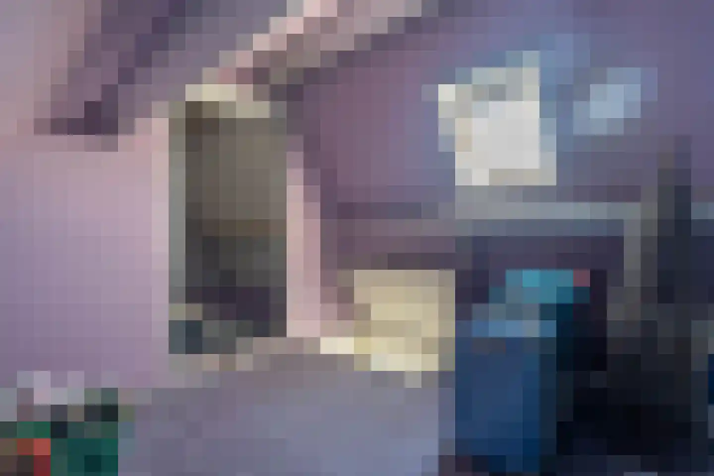 Bramestraat 18 Krabbendijke thumbnail 37