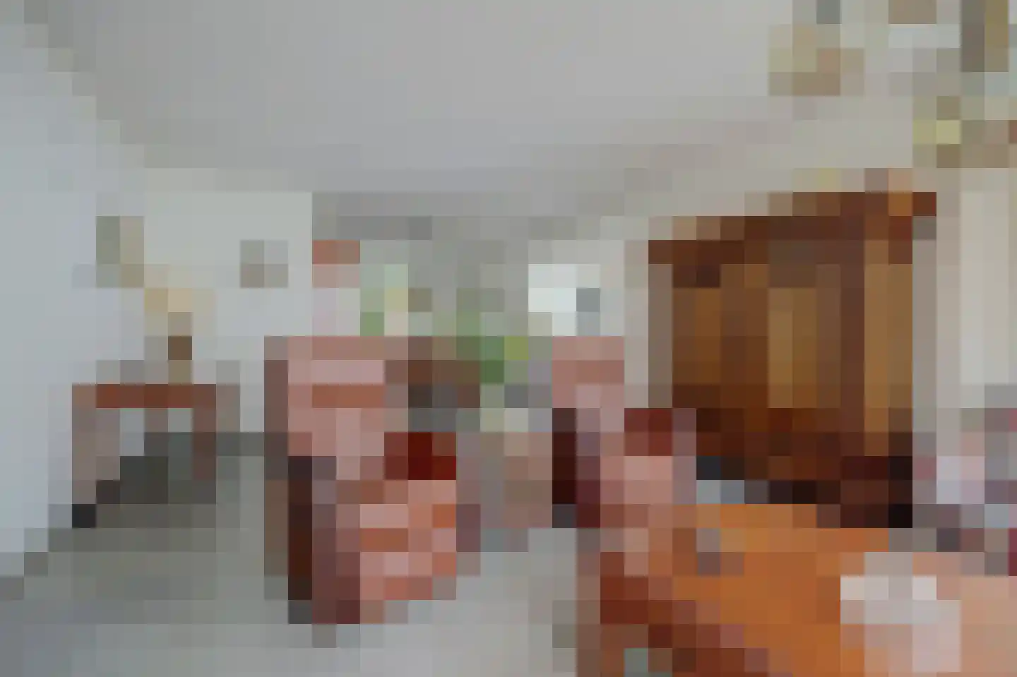 Bramhaar 2 Diepenveen thumbnail 13