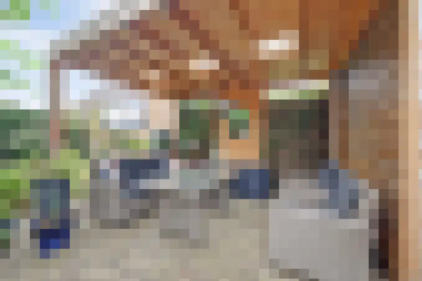 Bramhaar 2 Diepenveen thumbnail 42