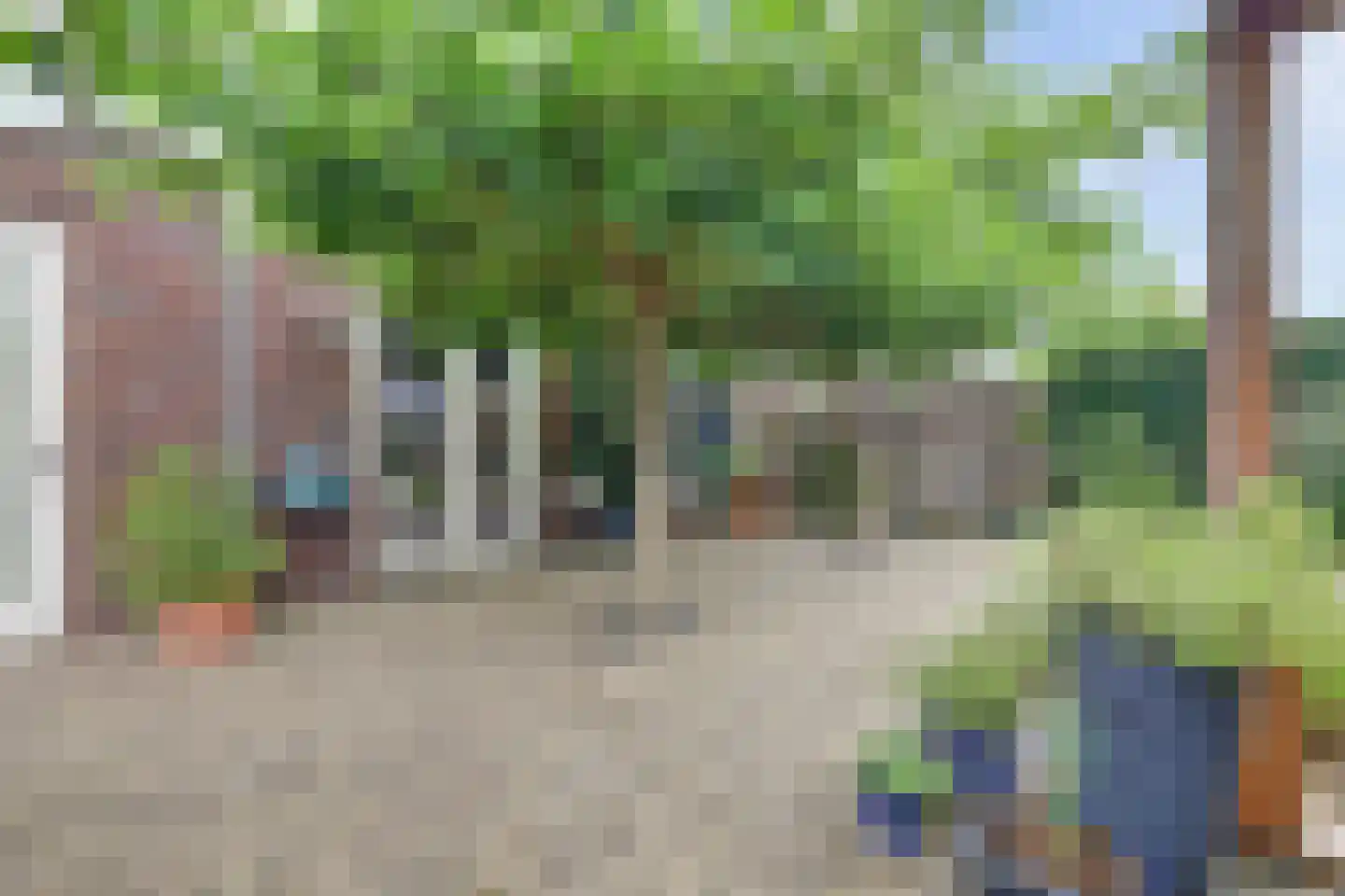 Bramhaar 2 Diepenveen thumbnail 44