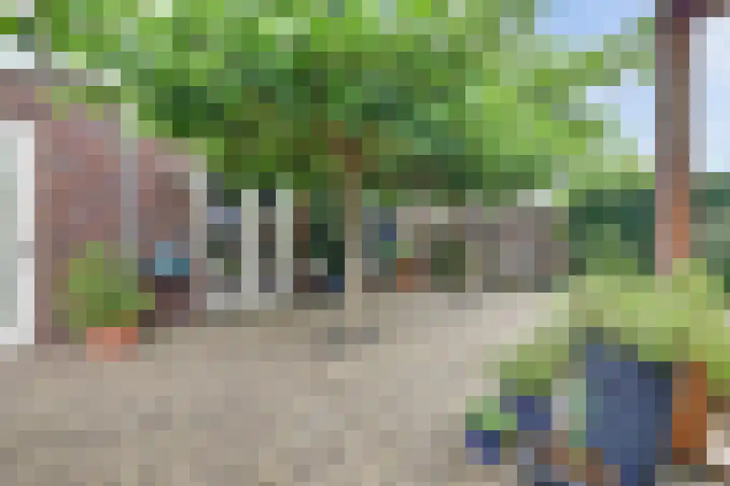 Bramhaar 2 Diepenveen thumbnail 44
