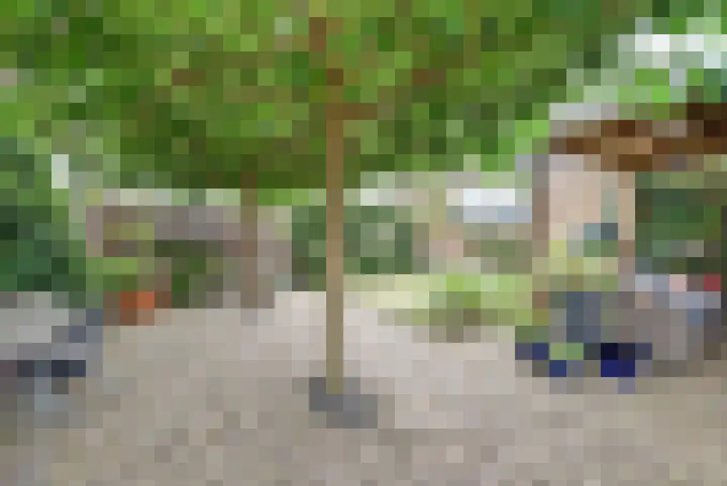Bramhaar 2 Diepenveen thumbnail 45