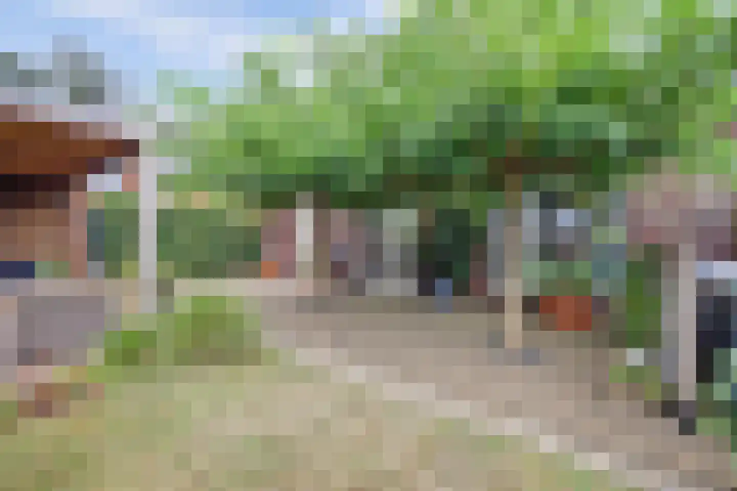 Bramhaar 2 Diepenveen thumbnail 47